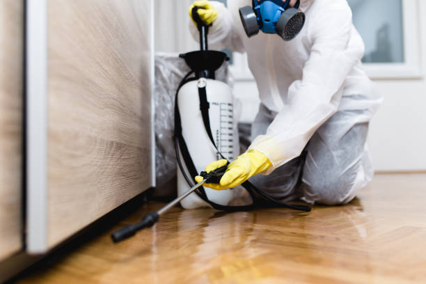 Reliable Wellton, AZ Pest Control Solutions