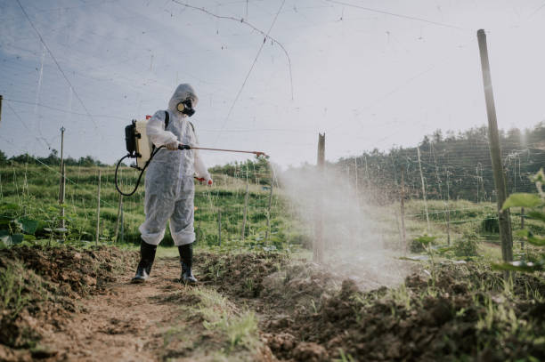 Best Pest Control Treatment  in Wellton, AZ