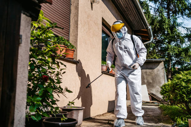 Best Flea Control Services  in Wellton, AZ