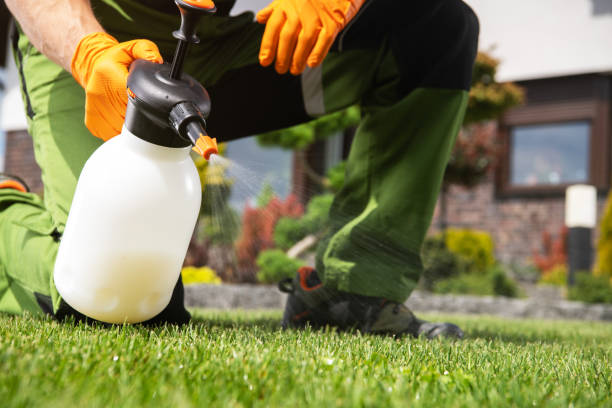 Best Best Pest Control Companies  in Wellton, AZ