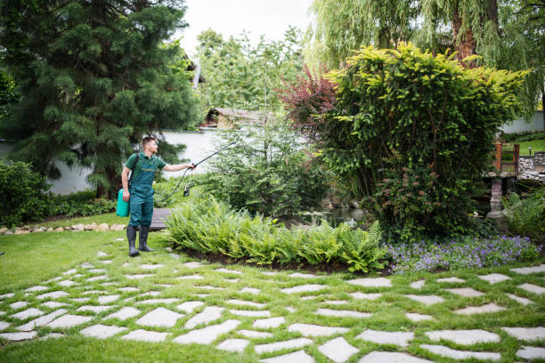 Best Pest Control Near Me  in Wellton, AZ