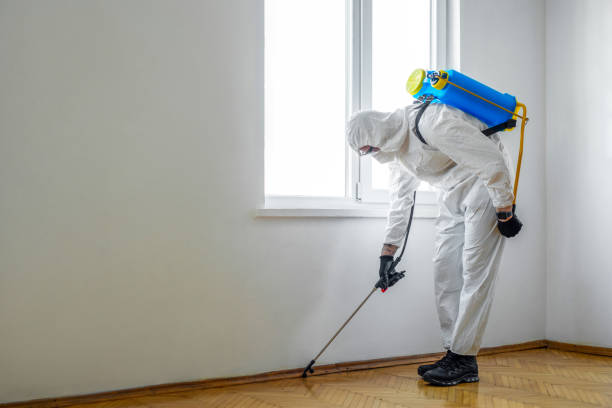 Best Pest Prevention Services  in Wellton, AZ