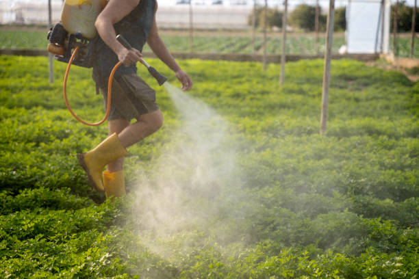 Best Affordable Exterminators  in Wellton, AZ