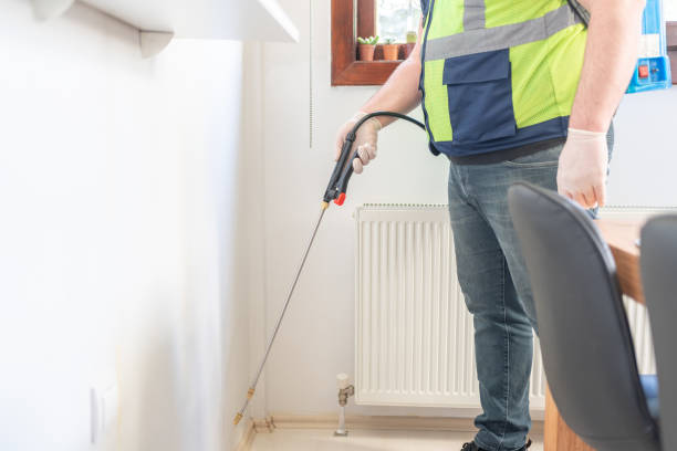 Best Termite Control Services  in Wellton, AZ