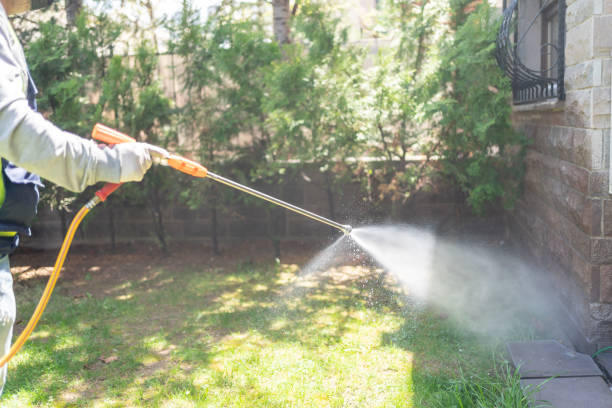 Bird Control in Wellton, AZ