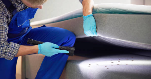 Best Cockroach Control Services  in Wellton, AZ