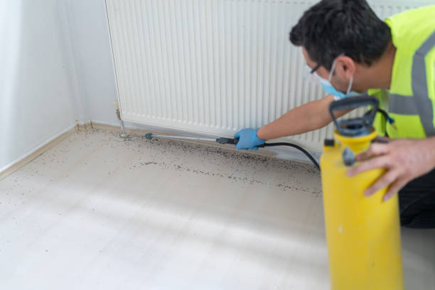  Wellton, AZ Pest Control Pros